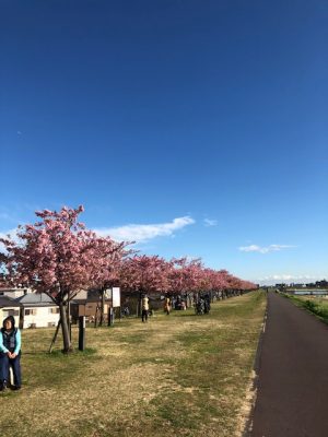 江戸川