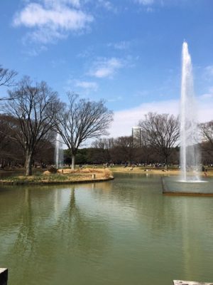 代々木公園噴水