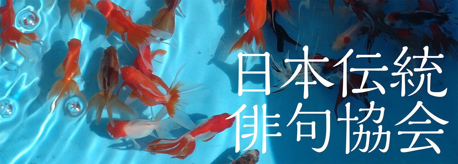 日本伝統俳句協会