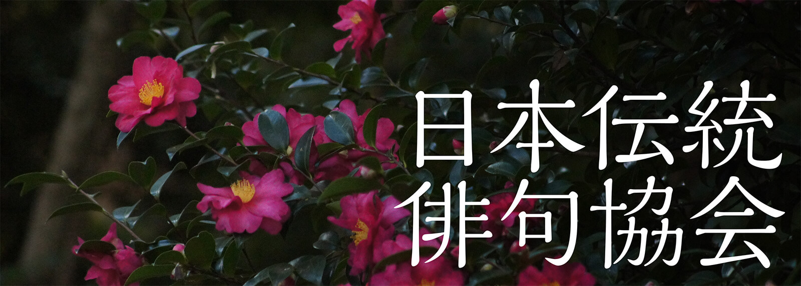 日本伝統俳句協会