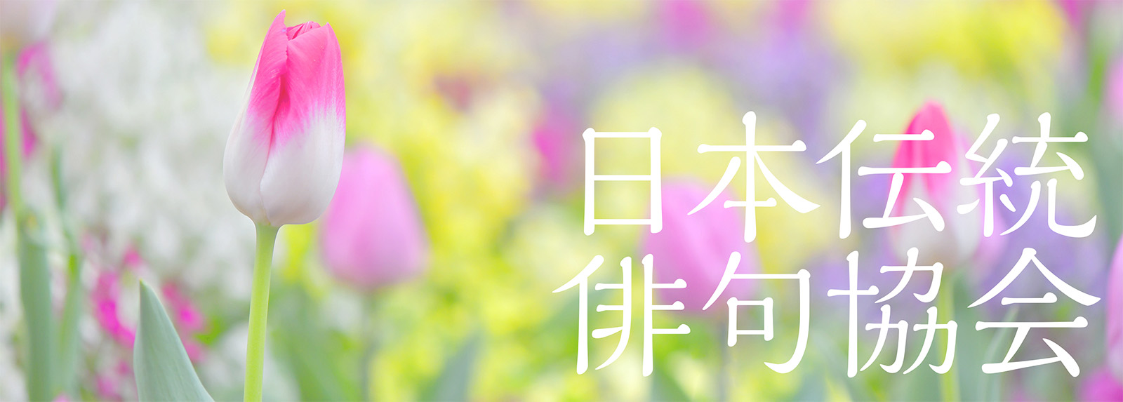 日本伝統俳句協会